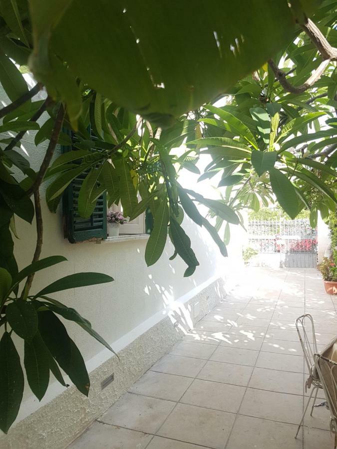 Green House Beach Mondello Exterior foto